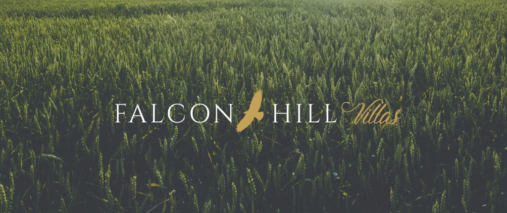 Hedrick Custom Builders - Communities - Falcon Hill Villas